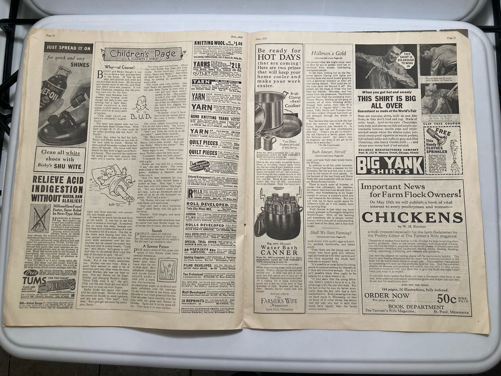 The Farmer’s Wife Magazine June 1935 Jules Erbit Cover Vtg Ads Articles Recipes