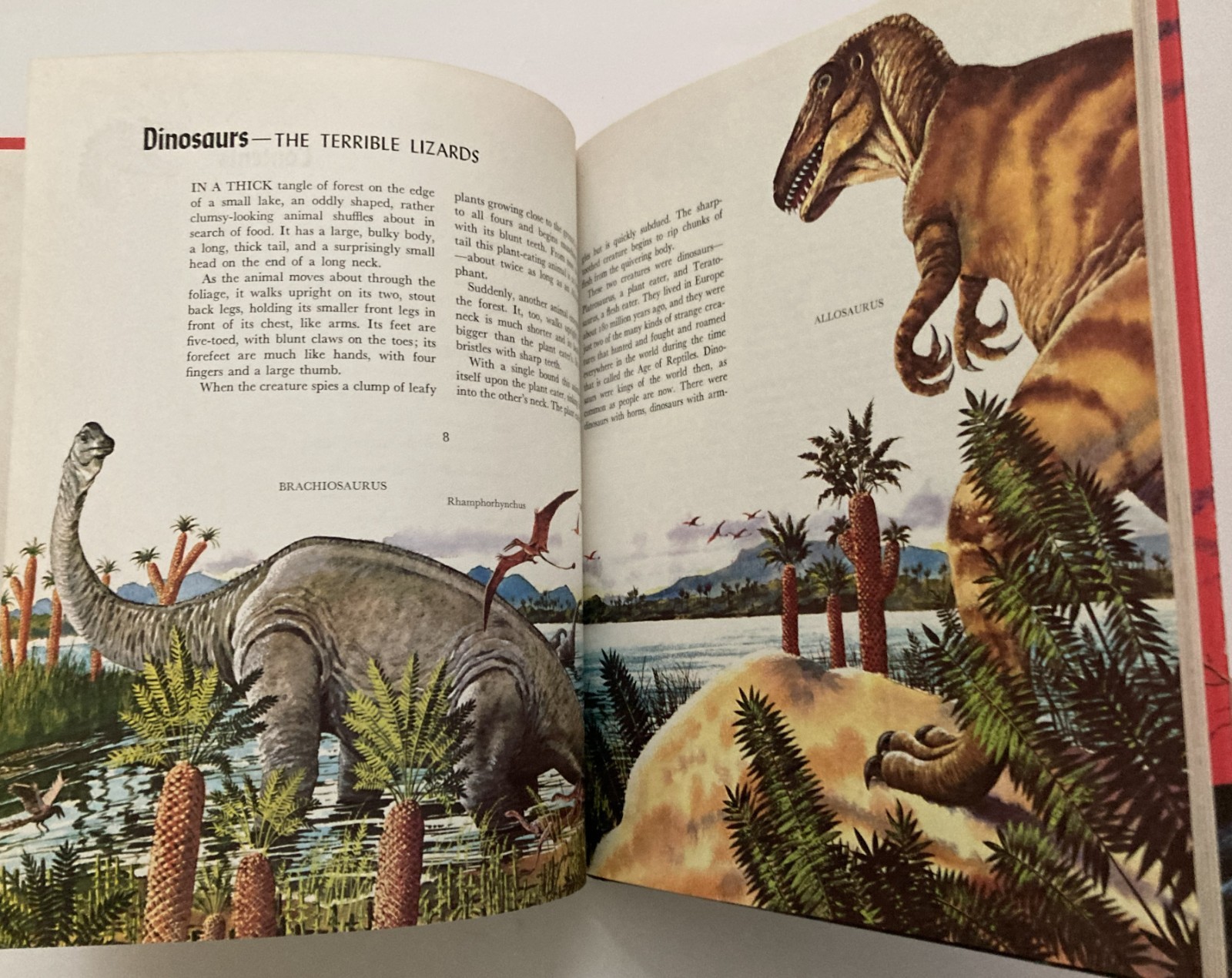 VTG Rand McNally lot 3 Album of Sharks Astronomy Dinosaurs Tom McGowen Rod Ruth