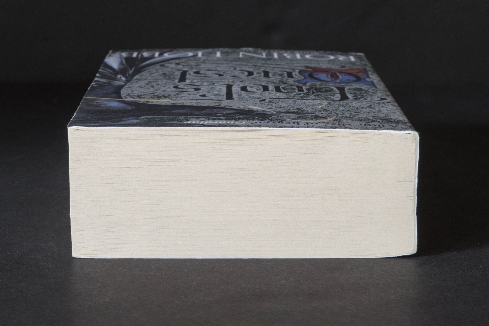 Robin Hobb FOOL’S QUEST UK Edition Trade Paperback Book Fitz and The Fool