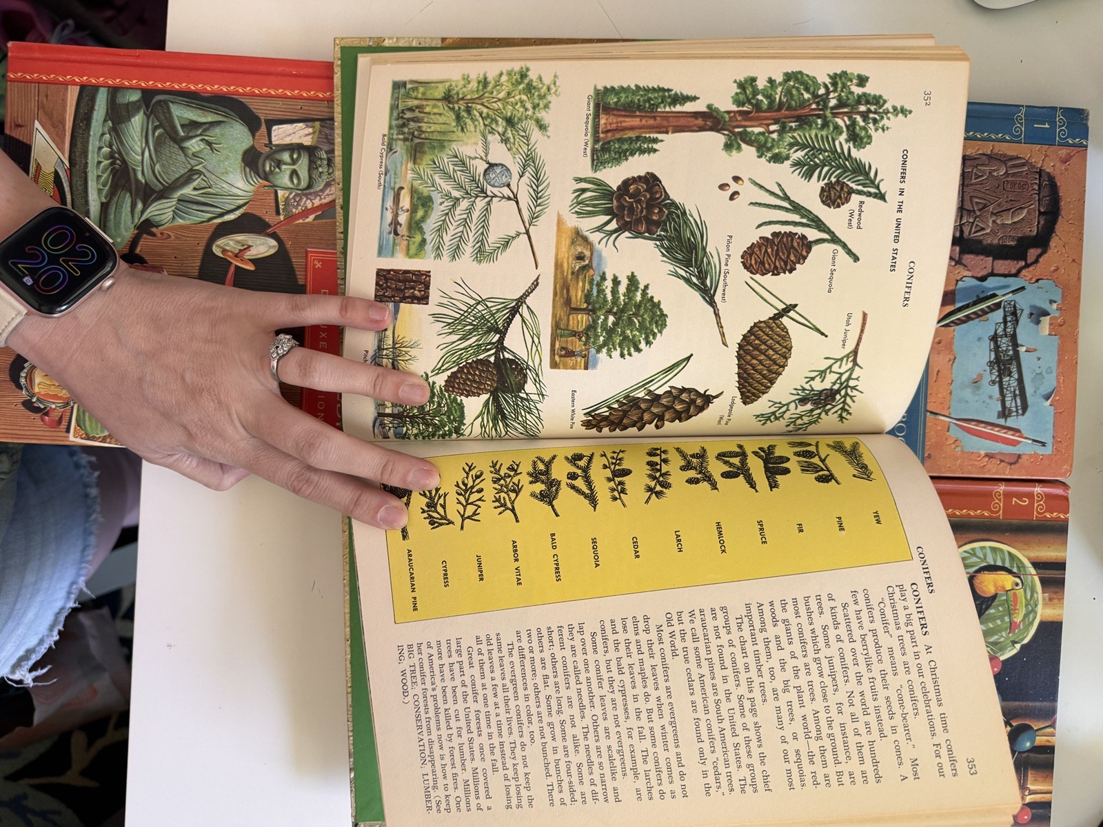 Vintage 1959/1960 The GOLDEN Book Encyclopedia Set Vol 1-4, 6,7, 9,10, 12-14,16