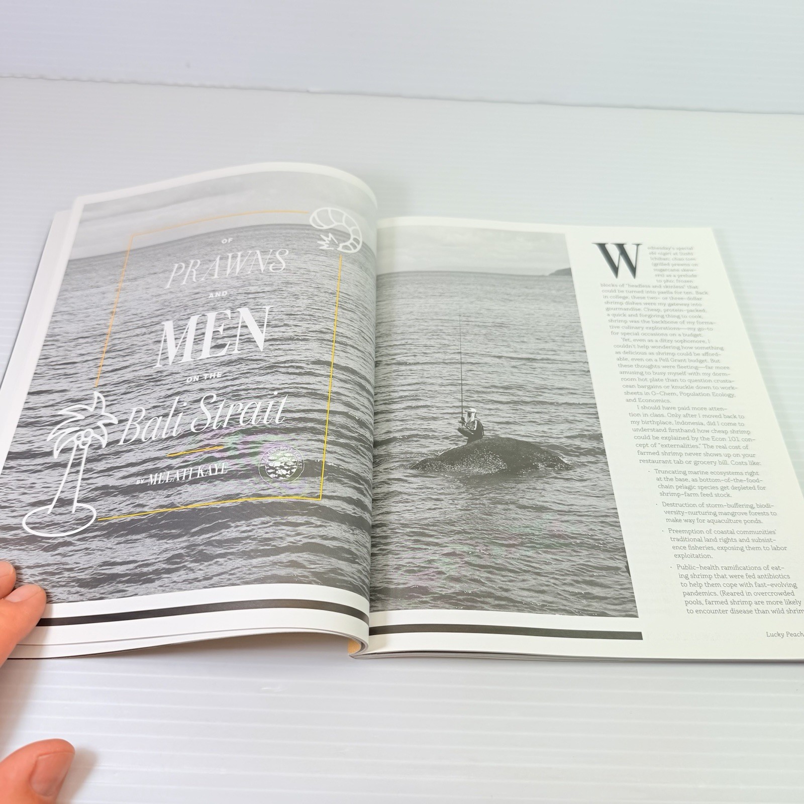 Lucky Peach Issue 12 : Seashore 2014 PB Nice!