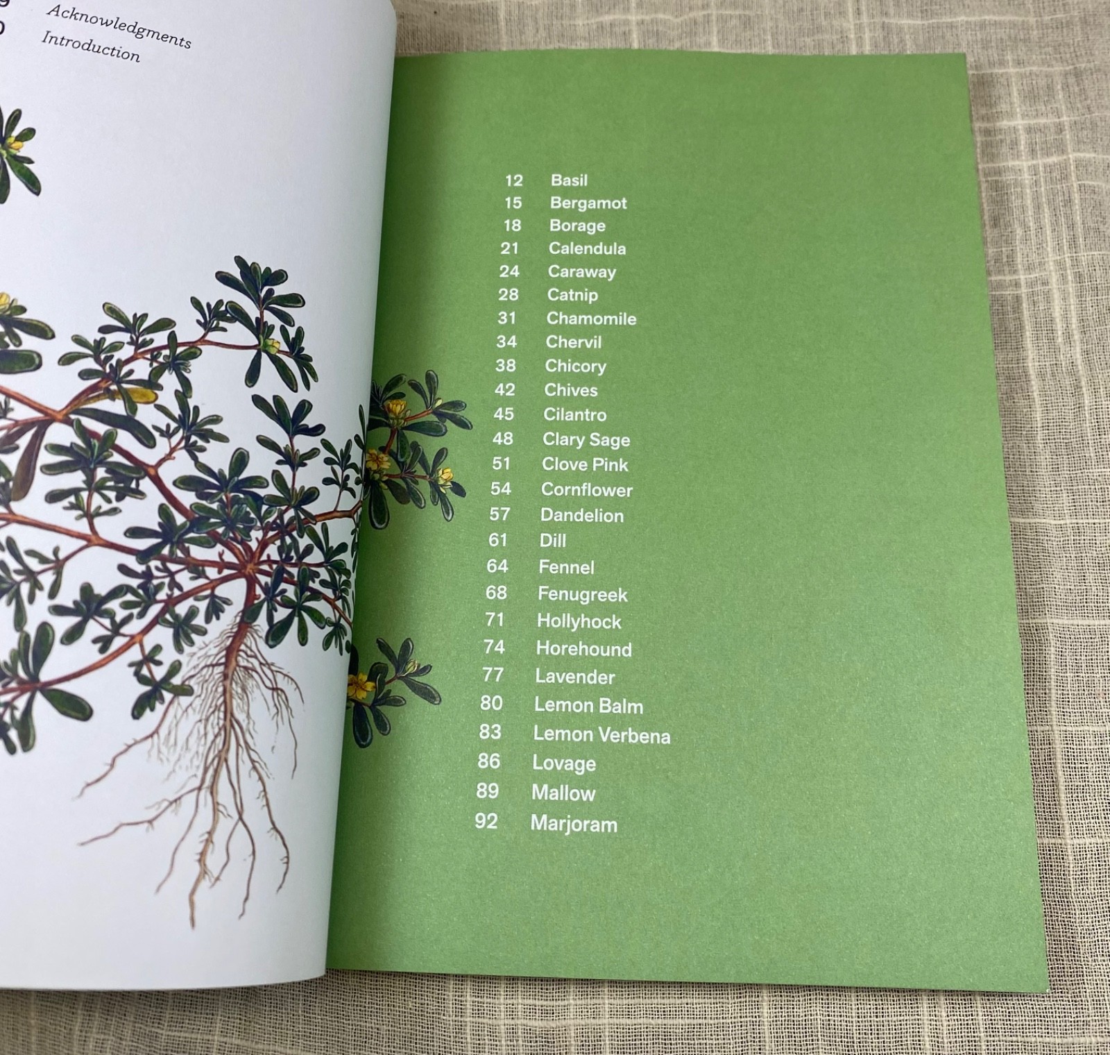 Herbal Handbook Cookbook Recipes Tinctures Teas Balms Botanical Garden Art