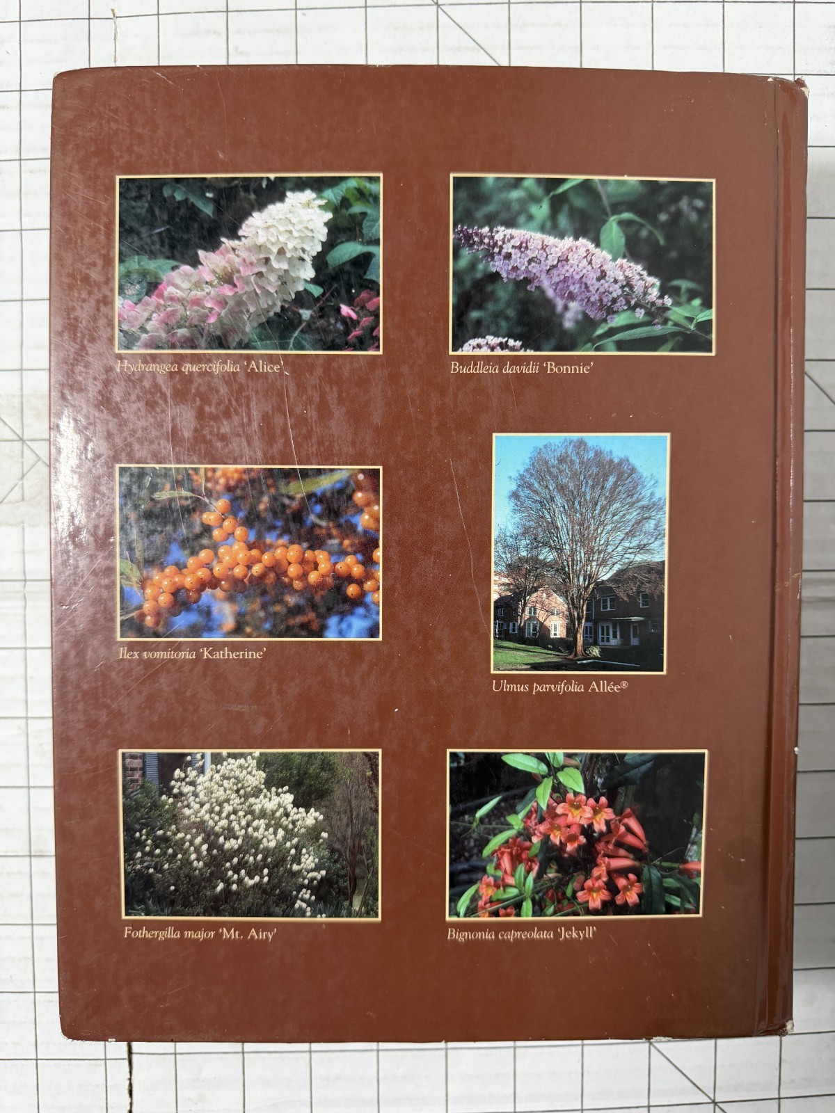 Manual of Woody Landscape Plants by Michael A. Dirr 5th Edition 1998, Hardcover