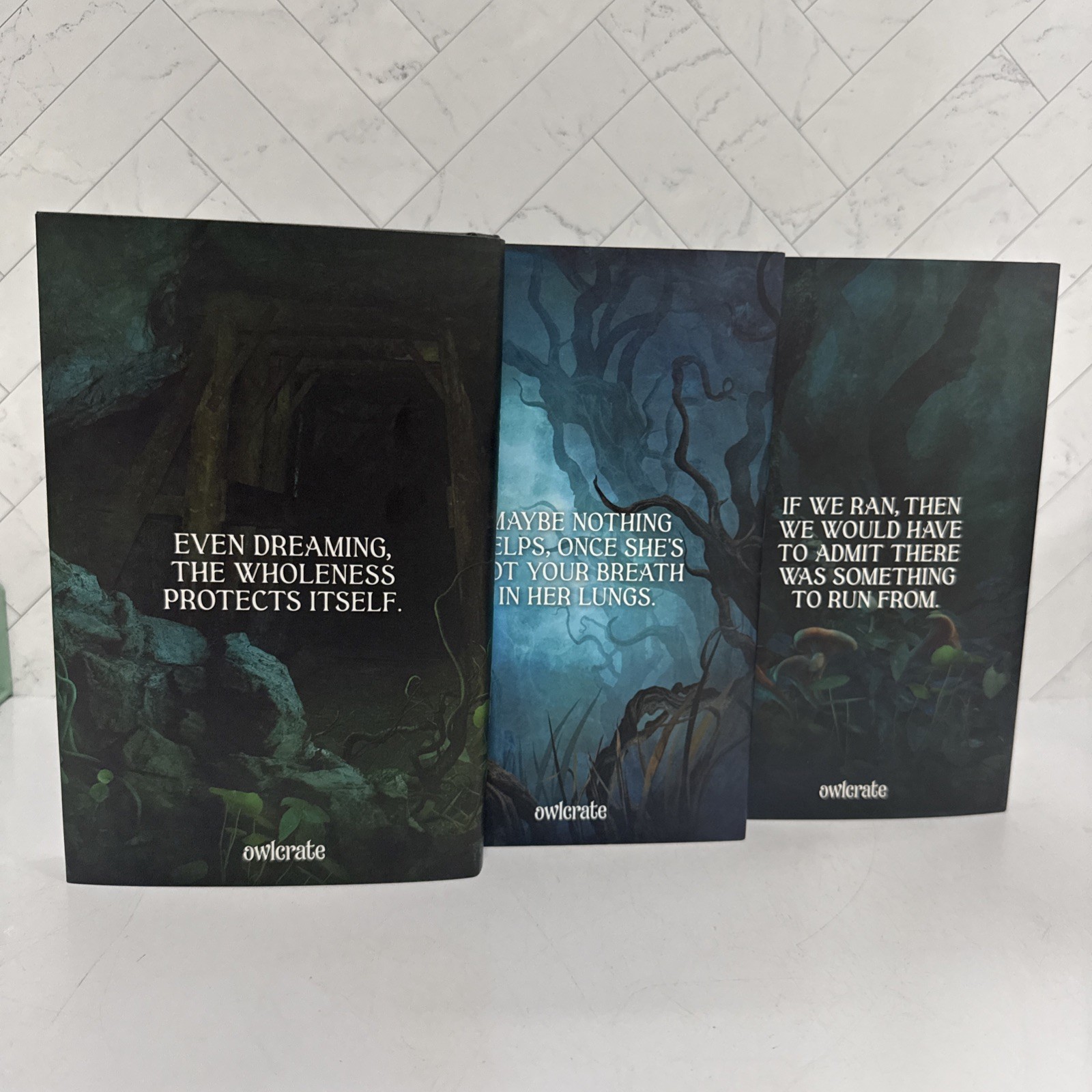Owlcrate Special Edition Sworn Soldier Trilogy by T Kingfisher New