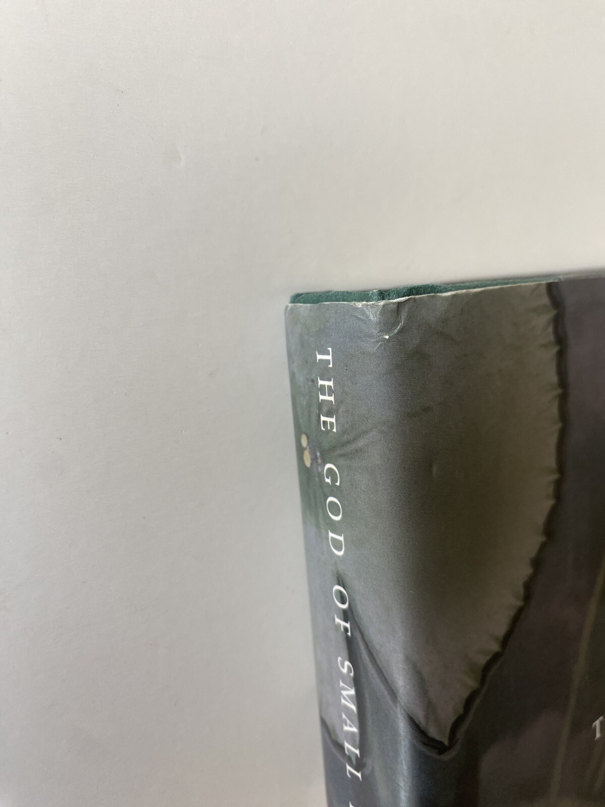 The God of Small Things by Arundhati Roy – 1997 – first edition, printing – NF
