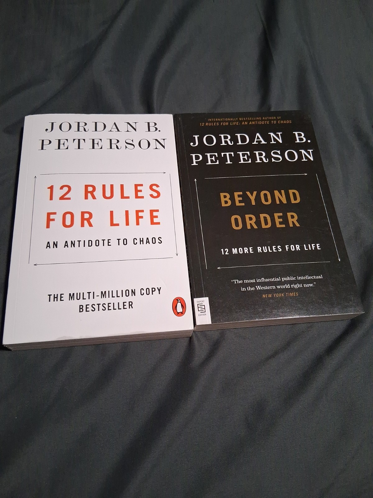 Beyond Order + 12 Rules for Life – Jordan B. Peterson Paperback book Lot of 2