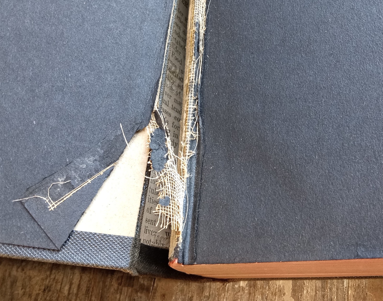Holy Bible ~1901 Vintage HC~ Nelson (American Standard Version) Israel Christian
