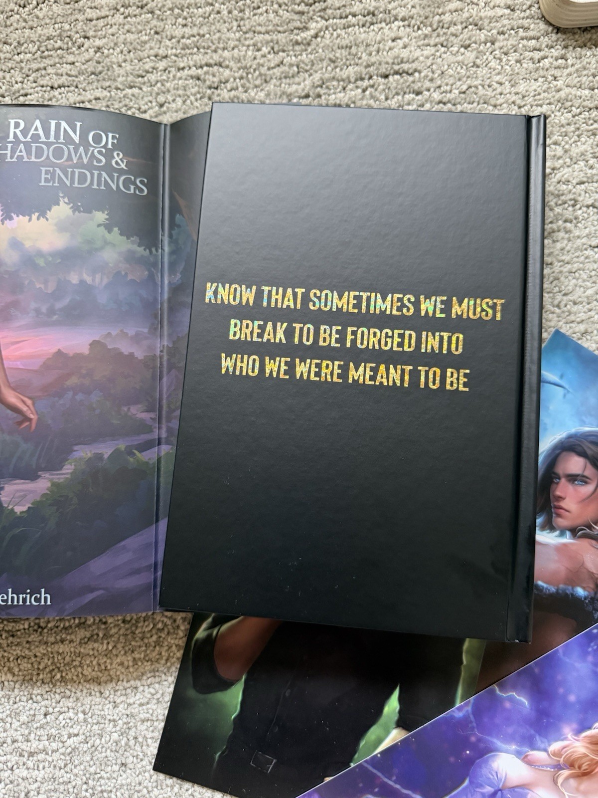 Rain Of Shadows and Endings-Books for days crate exclusive special edition w/art