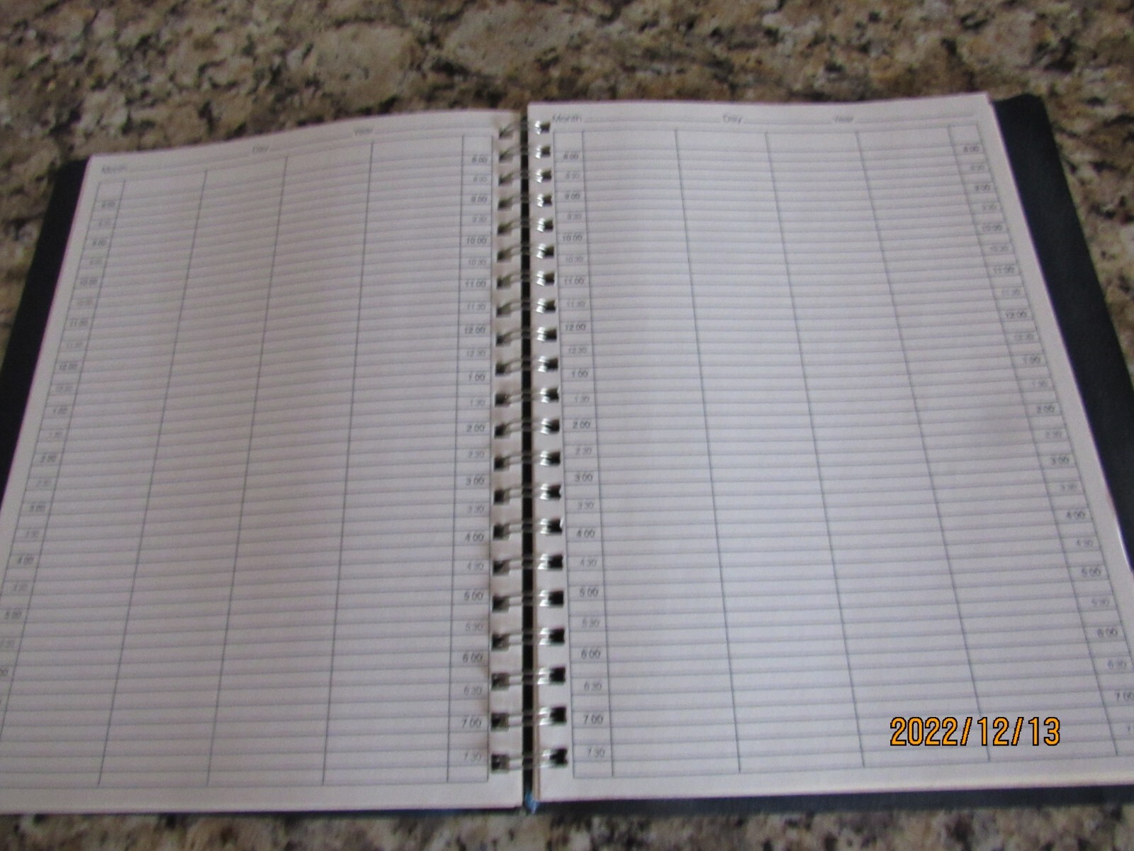 Note-a-Date Daily Group Professional Appointments Planner-Calendar- 125 2X-Pages