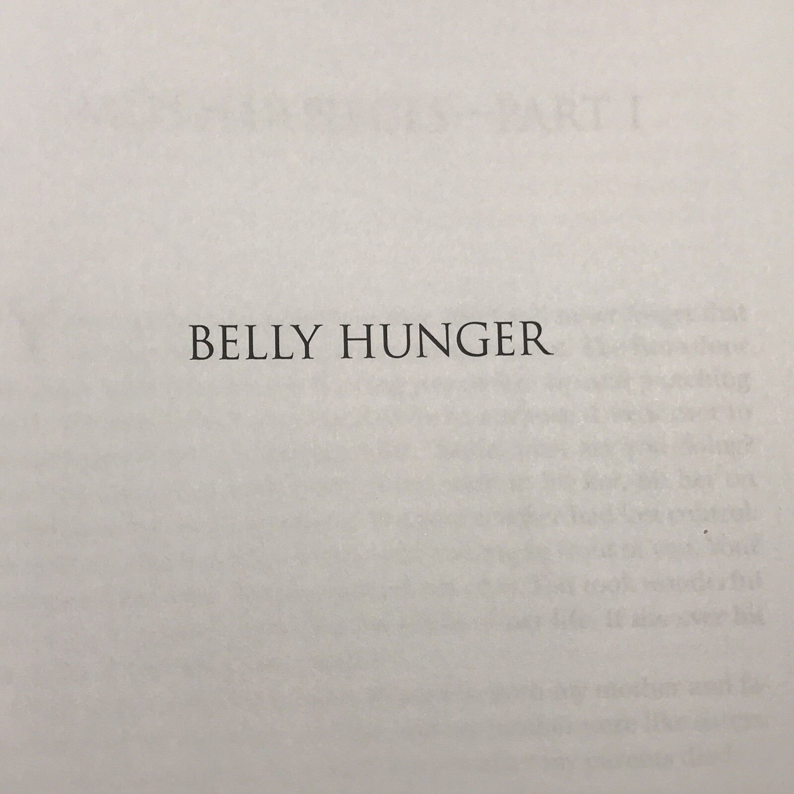More a Memoir of Hungers By Sara Truitt Softcover Book Very Good