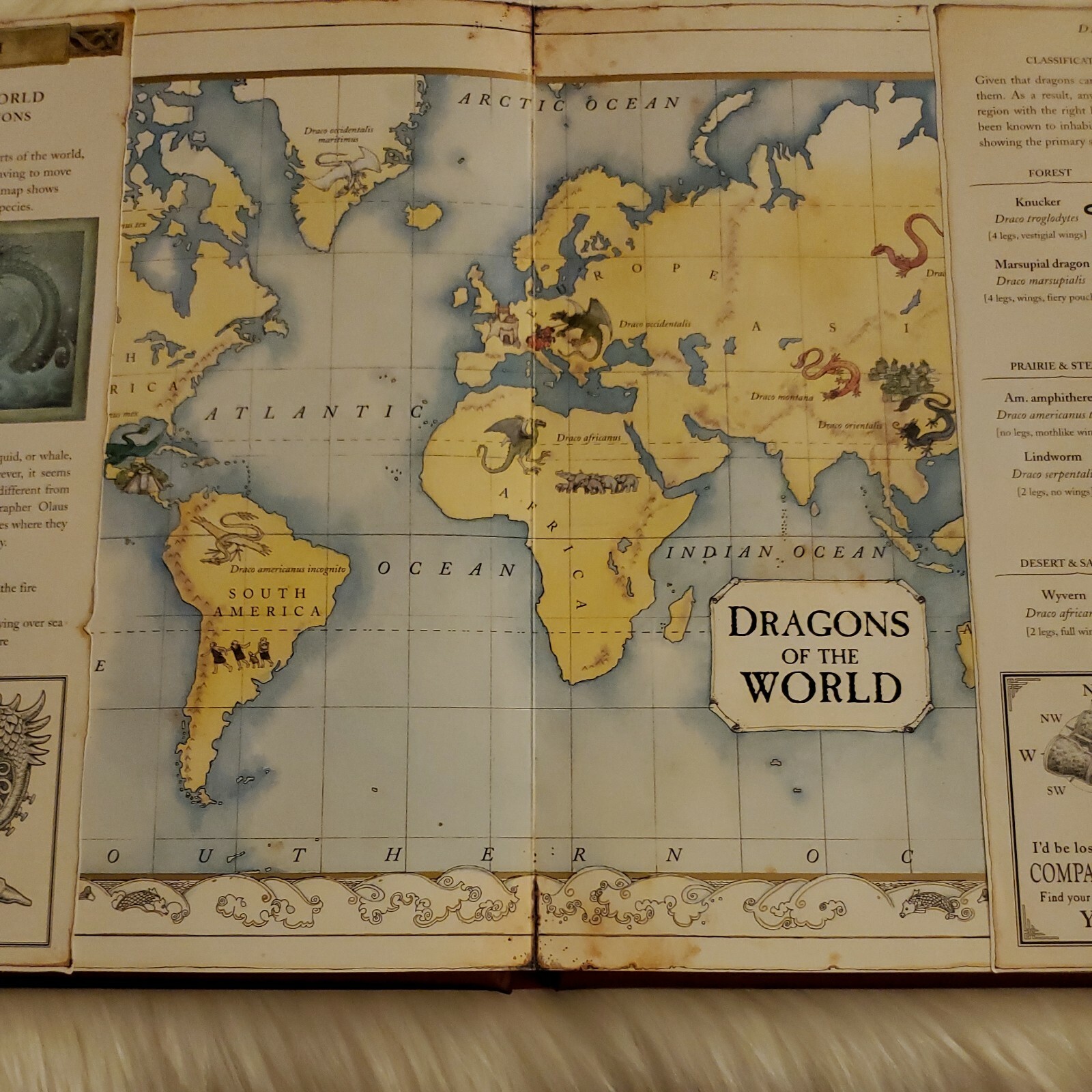 Ologies Ser.: Dragonology : The Complete Book of Dragons by Ernest Drake (2003)