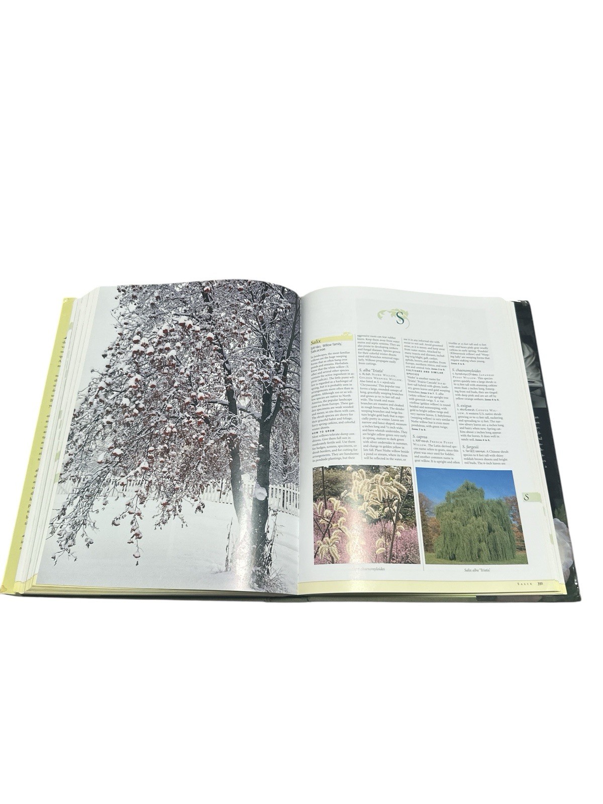 Taylor’s Encyclopedia of Garden Plants (Taylor’s Guides) by Frances Tenenbaum