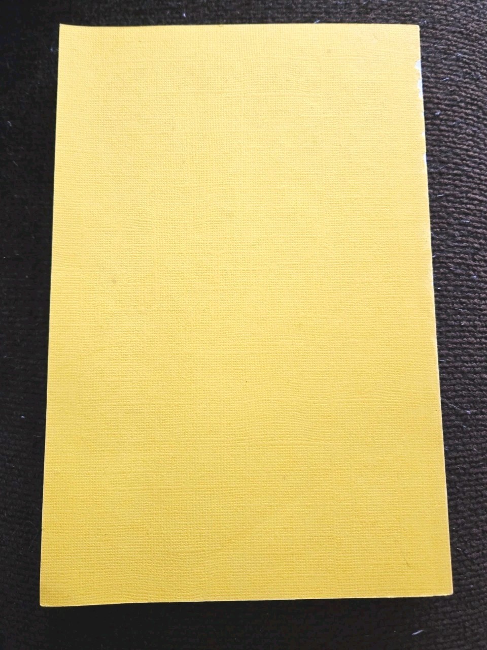 Promise and Fulfillment in the Art of Tae Kwon Do by Sang Kyu Shim 1974 PB Rare