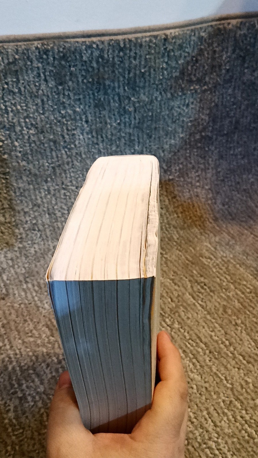 Catholic Women’s Bible Bricker New American Bible Softcover (2012) [VG]