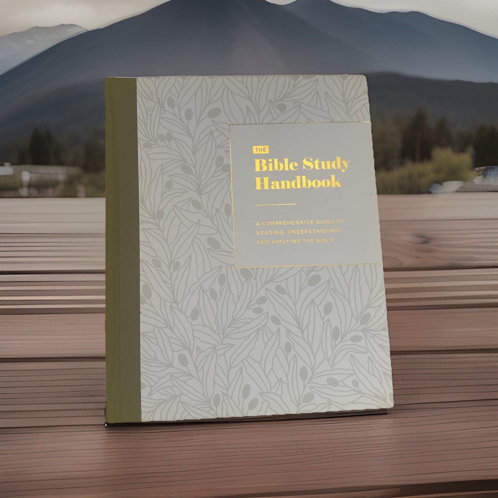 The Bible Study Handbook by The Daily Grace Co. (Hardcover, 2024)
