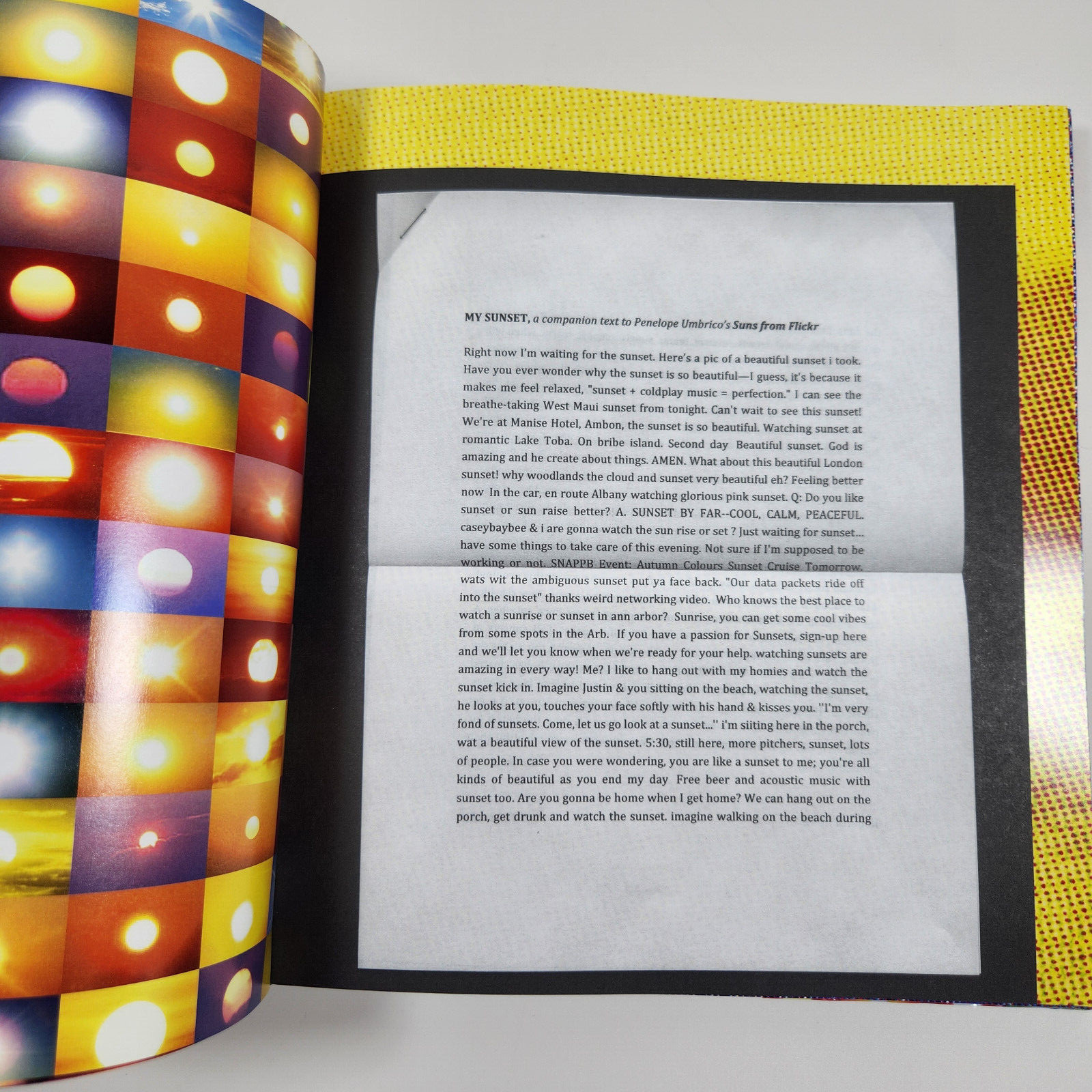 Penelope Umbrico Photographs Limited 1st Ed 2011 Monograph Commercial Media