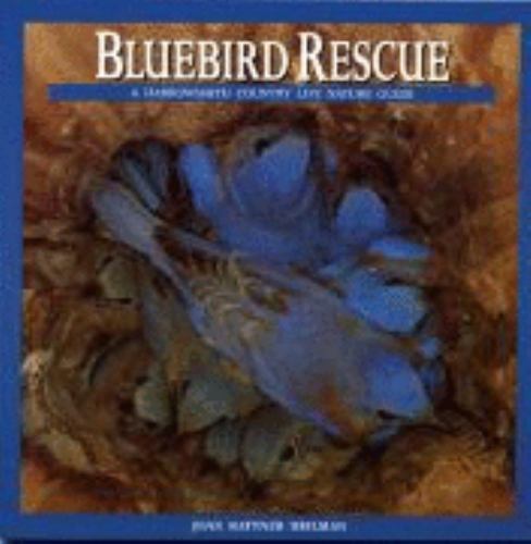 Bluebird Rescue: Country Life Nature Guide by Heilman, Joan Rattner