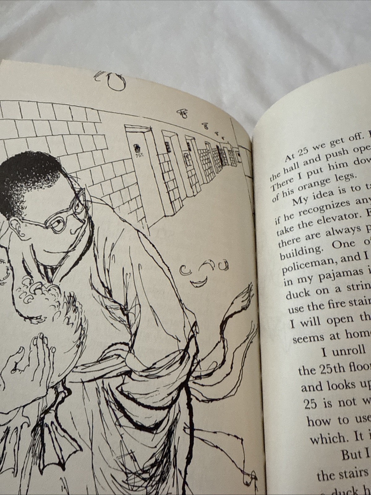 1973 „The Case Of The Elevator Duck“ by Polly Berrien Berends Hardcover Book