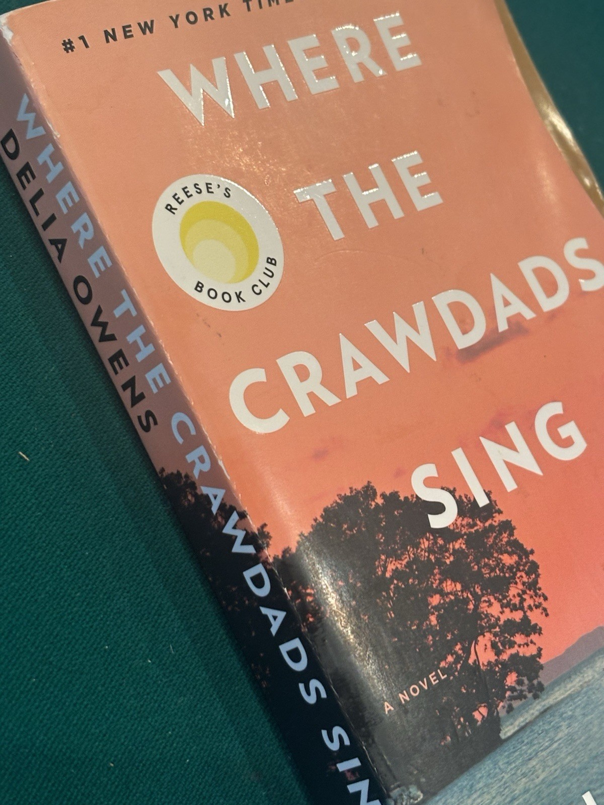 Where the Crawdads Sing: Reese’s Book Club by Delia Owens (2021, Paperback)