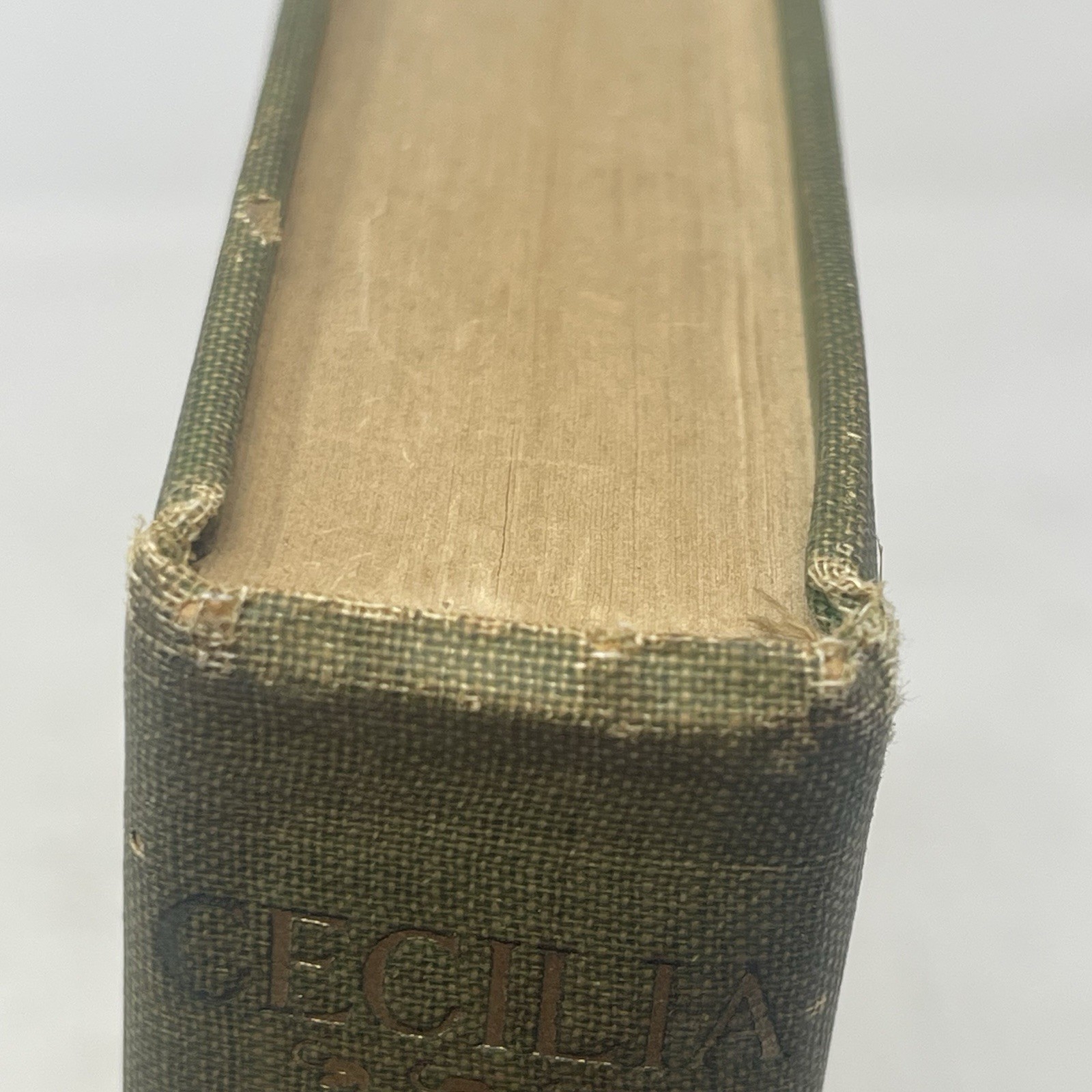 Cecilia Story of Modern Rome F Marion Crawford 1902 HC Macmillan Company