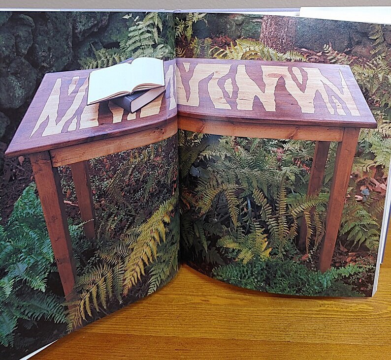 Fantastic Furniture in an Afternoon ~ Mickey Baskett – Brand New Hardcover NICE!