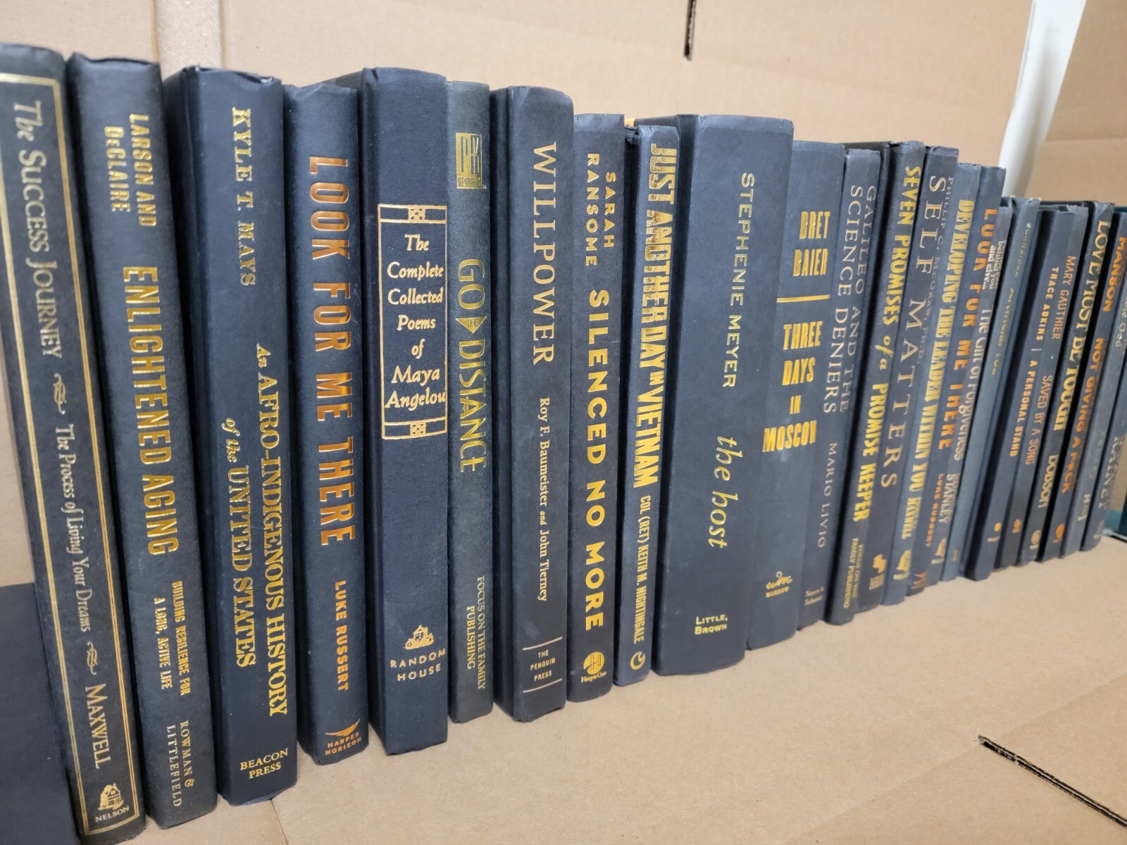 Lot of 10 Hardcover BLACK Book for Decorating Design Staging GOLD/COPPER Letters