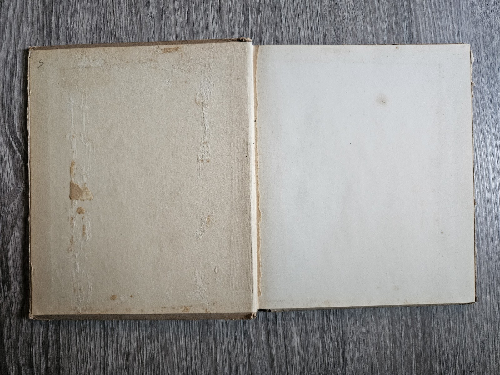 STAR STORIES FOR LITTLE FOLKS : by Gertrude Chandler Warner : vintage 1928