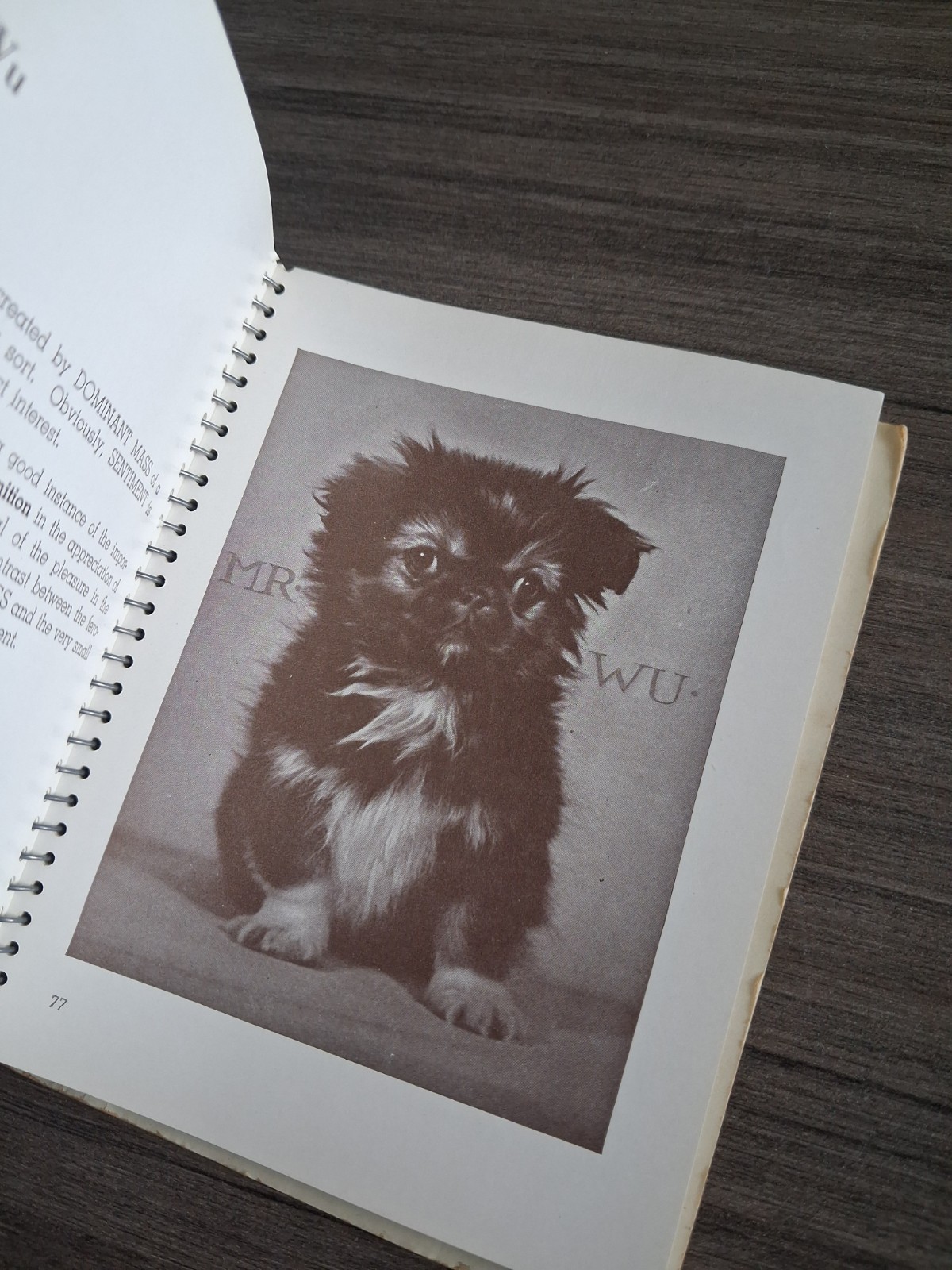 Command to Look 1st Edition William Mortensen CoS Lesser Magick Anton LaVey