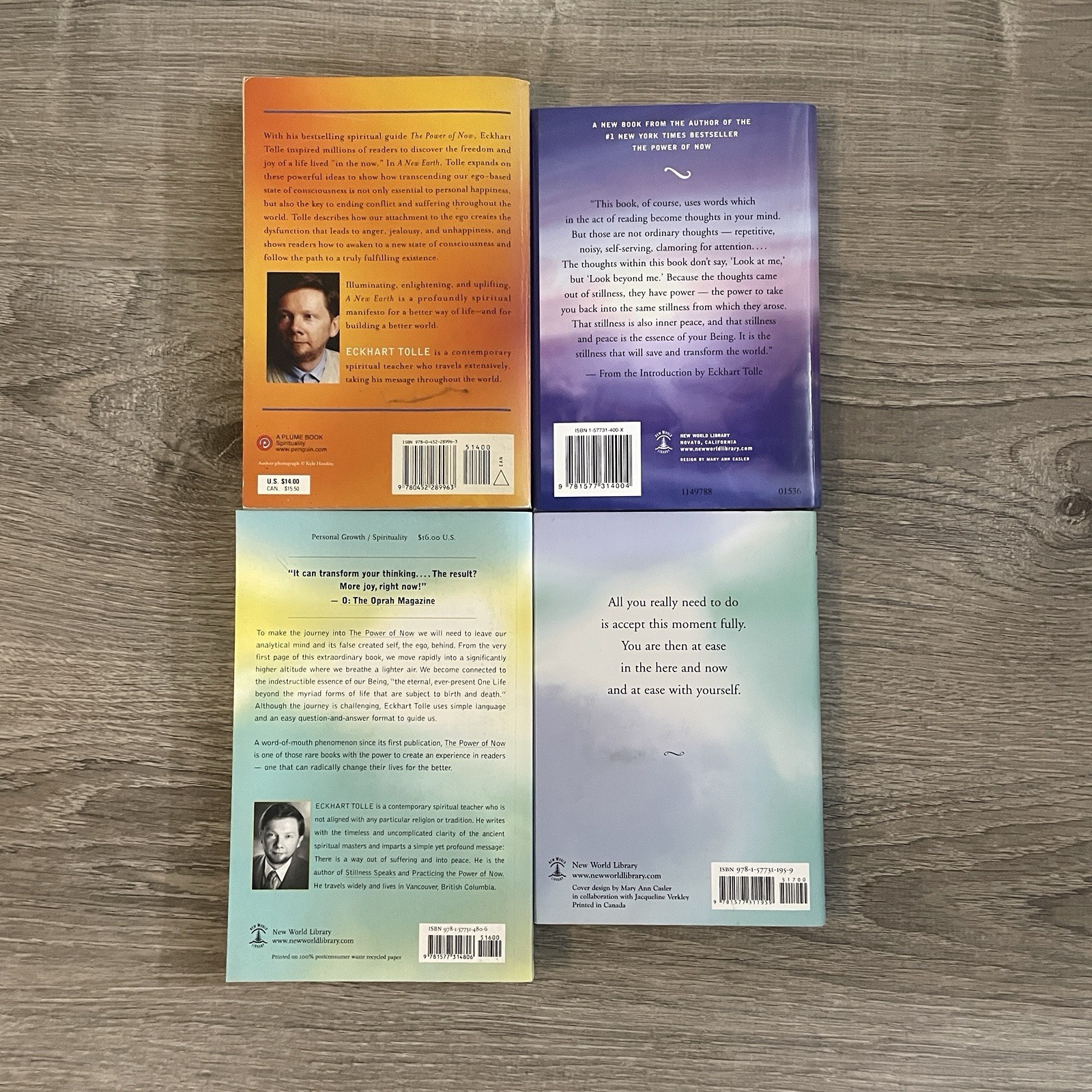 Eckhart Tolle 4 Book Lot New Earth & Practicing Power Of Now Stillness Speaks