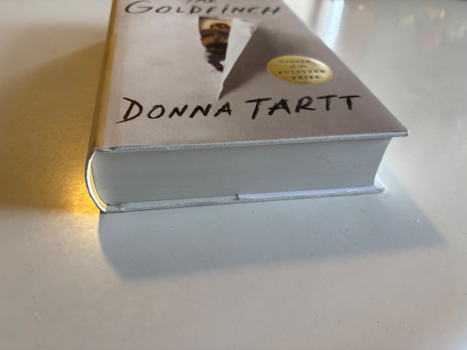 Donna Tartt THE GOLDFINCH Book 1st Edition Oct 2013 Hardcover Dust Jacket