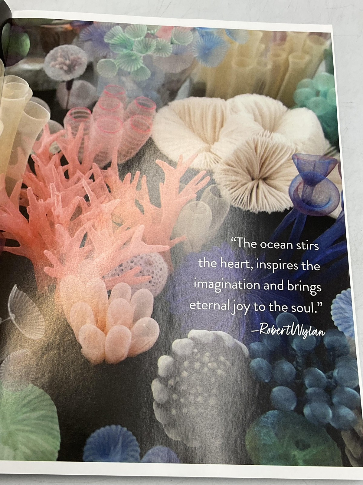 WHAT WOMEN CREATE Jo Packham Women Create PB Multicolor 2022 USA Art Inspiration