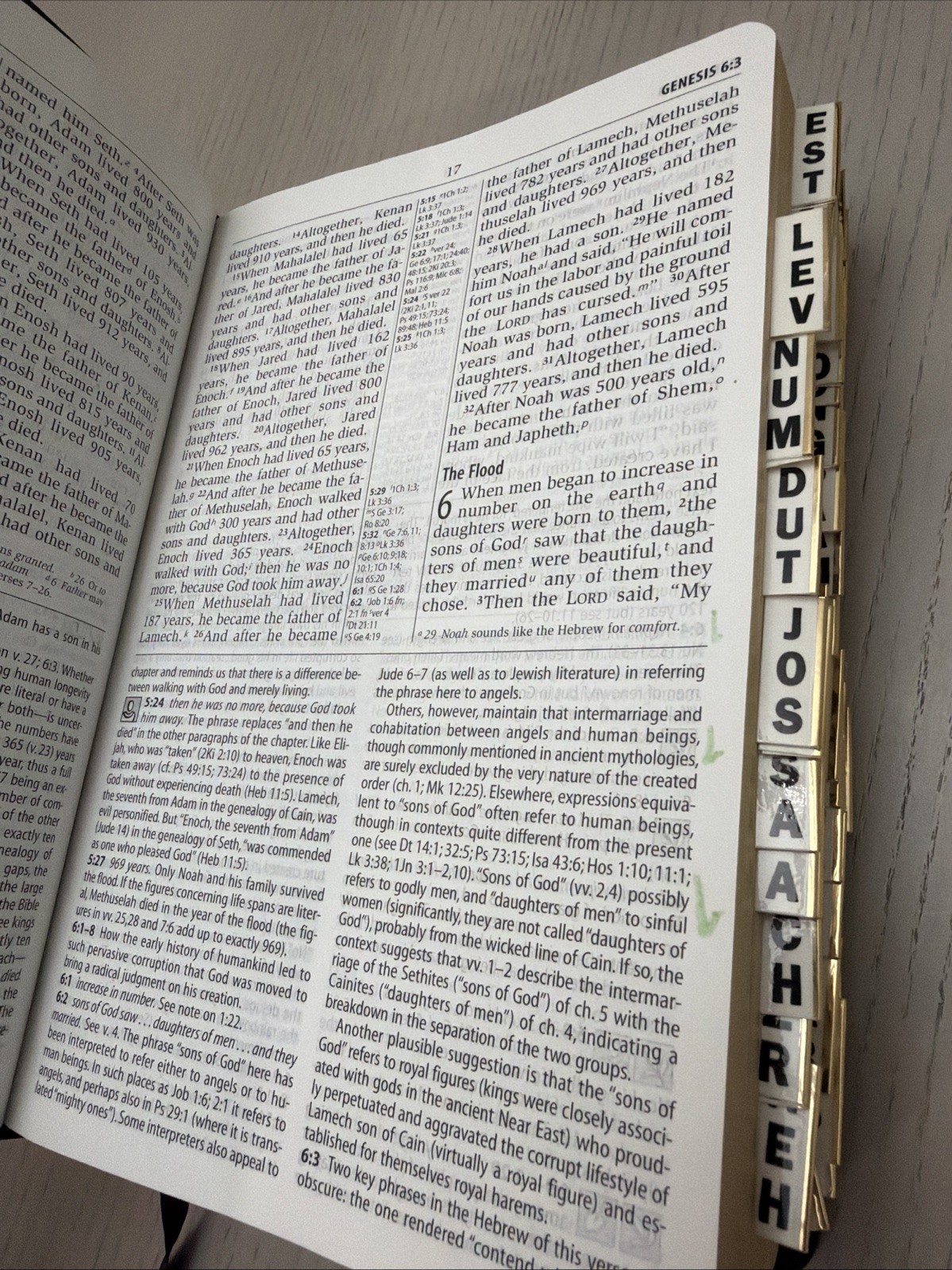 NIV Study Bible by Zondervan Staff 2000 bonded leather