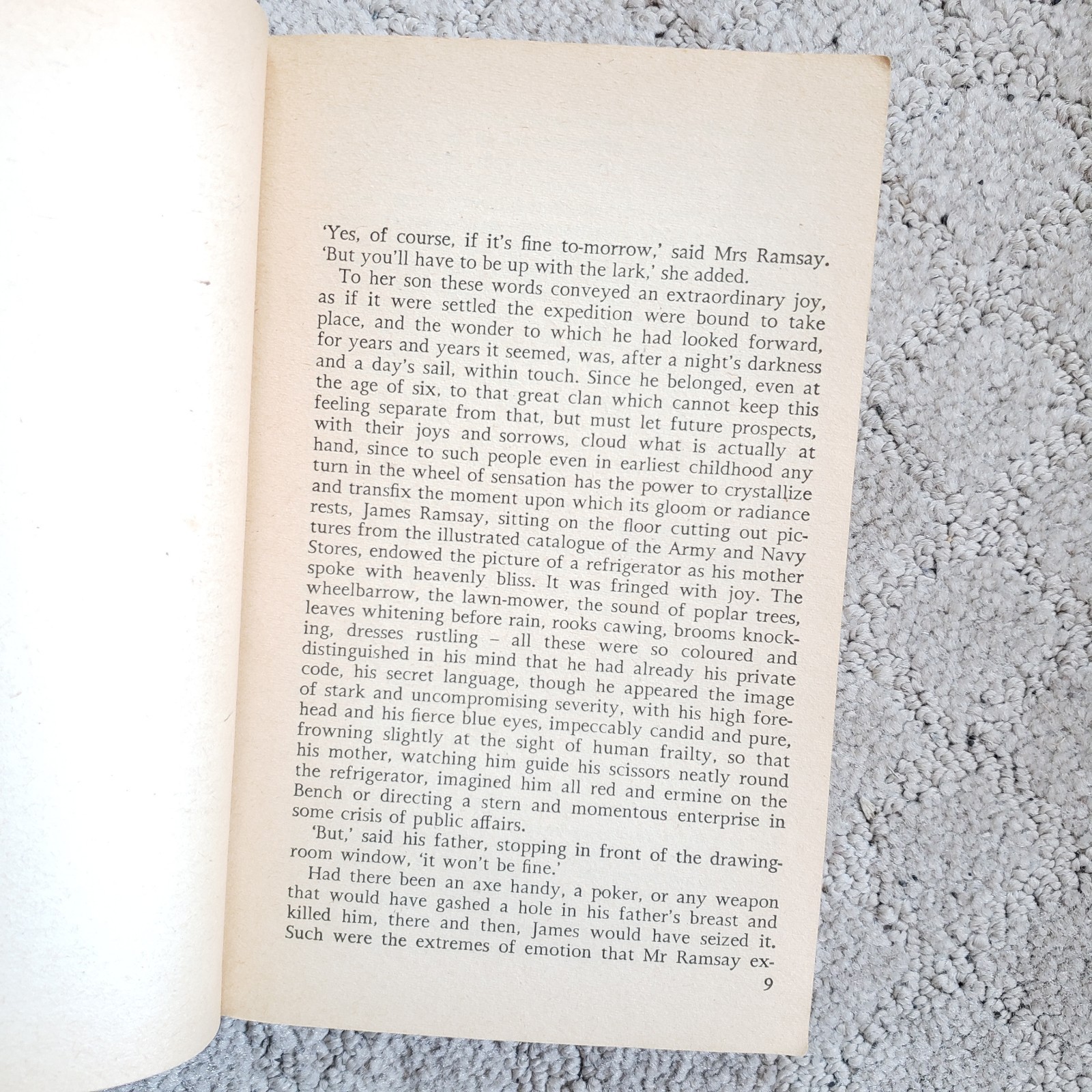 To The Lighthouse Virginia Woolf Panther Books Edition 1979 UK Paperback