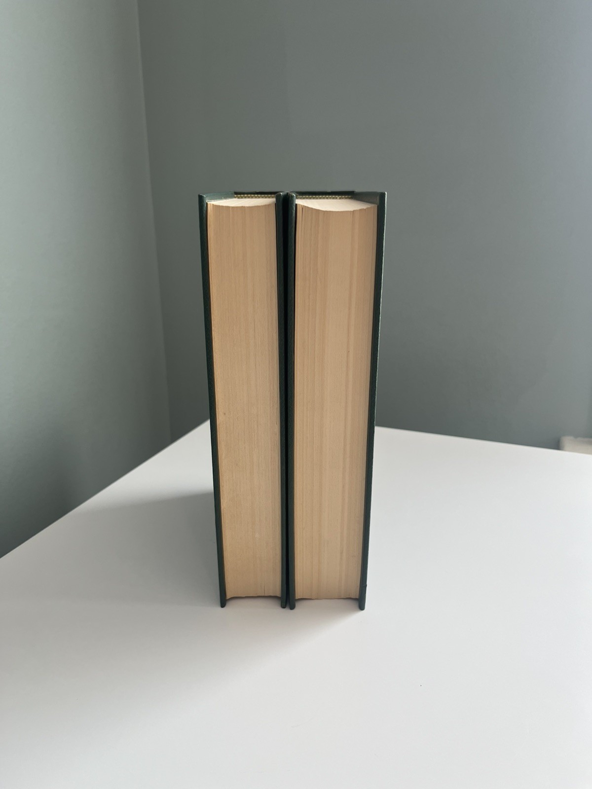 The Iliad & The Odyssey Homer Programmed Classics First Edition 2 Volume Set