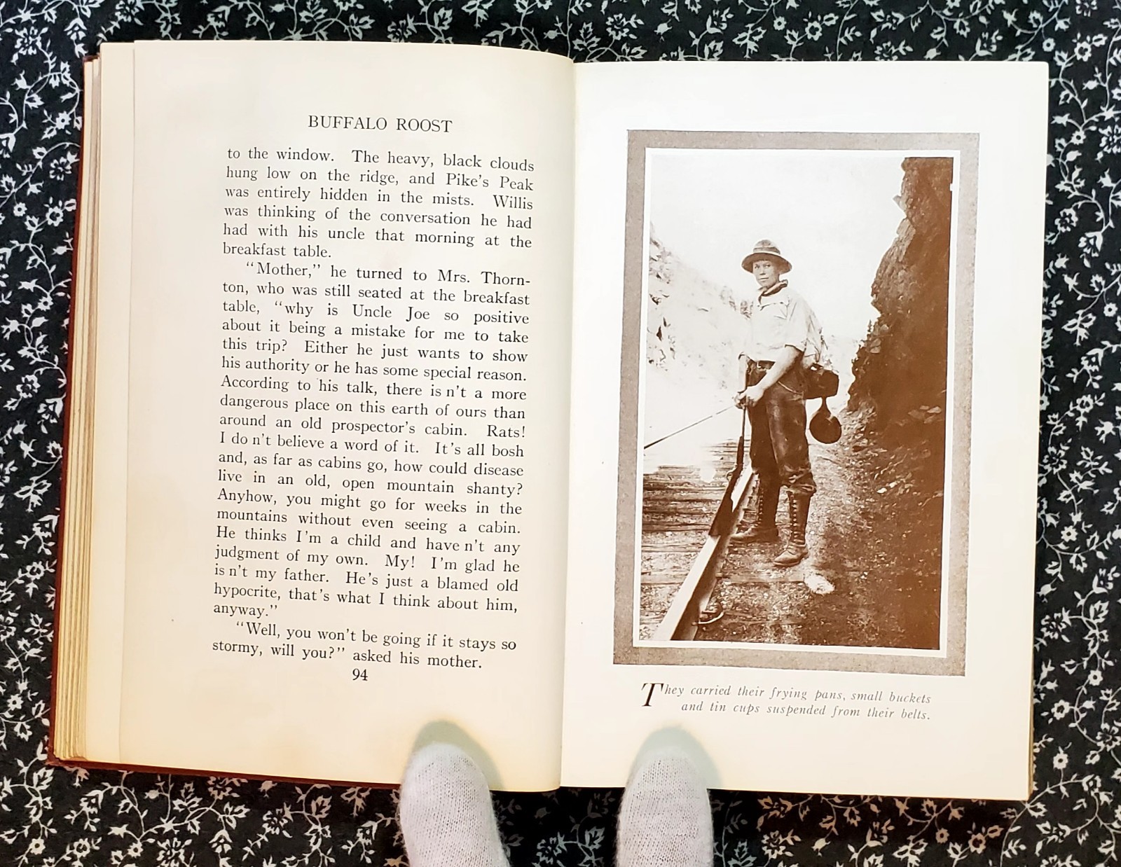 Buffalo Roost, F. H. Cheley, 1913, First Edition, Hardcover, Antique