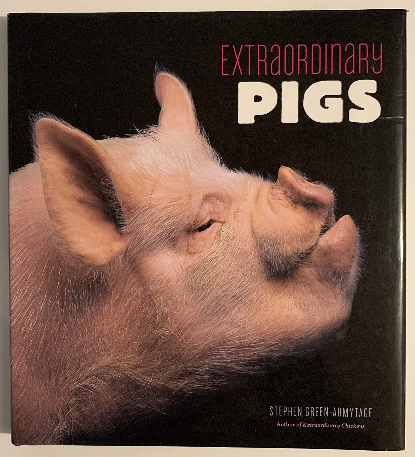 Extraordinary Pigs