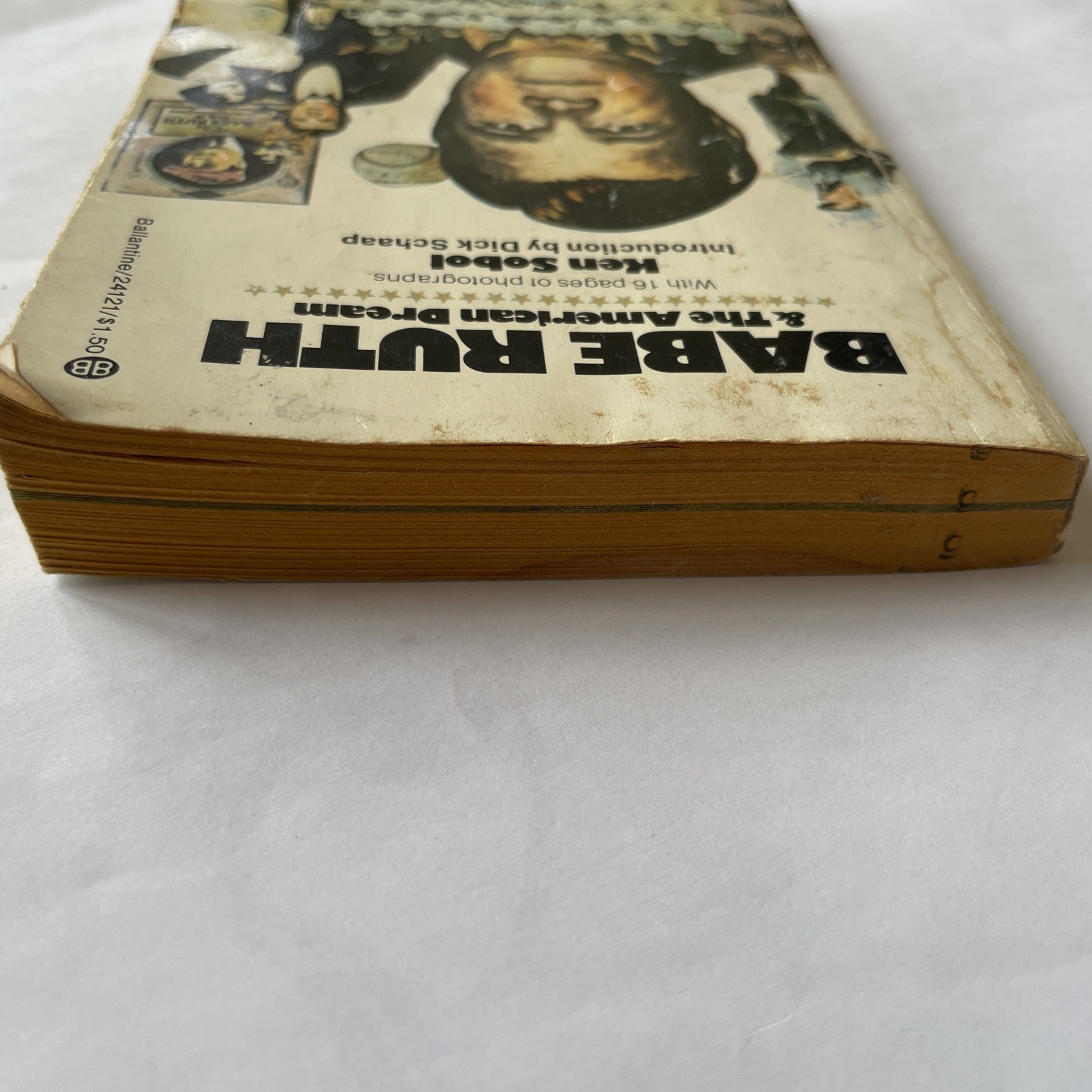 Babe Ruth & The American Dream (1974)Ken Sobol / Paperback – 269 Pages