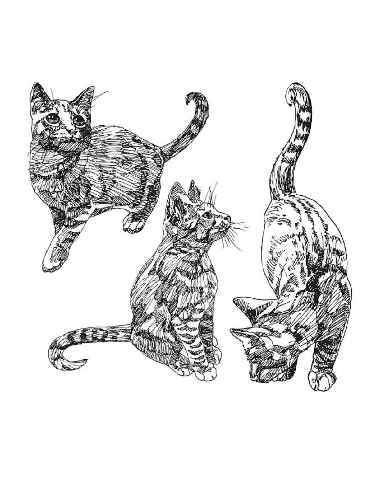 Dogs and Cats Coloring Book for All Ages 108 Pages 8.5 x 11 for All Ages
