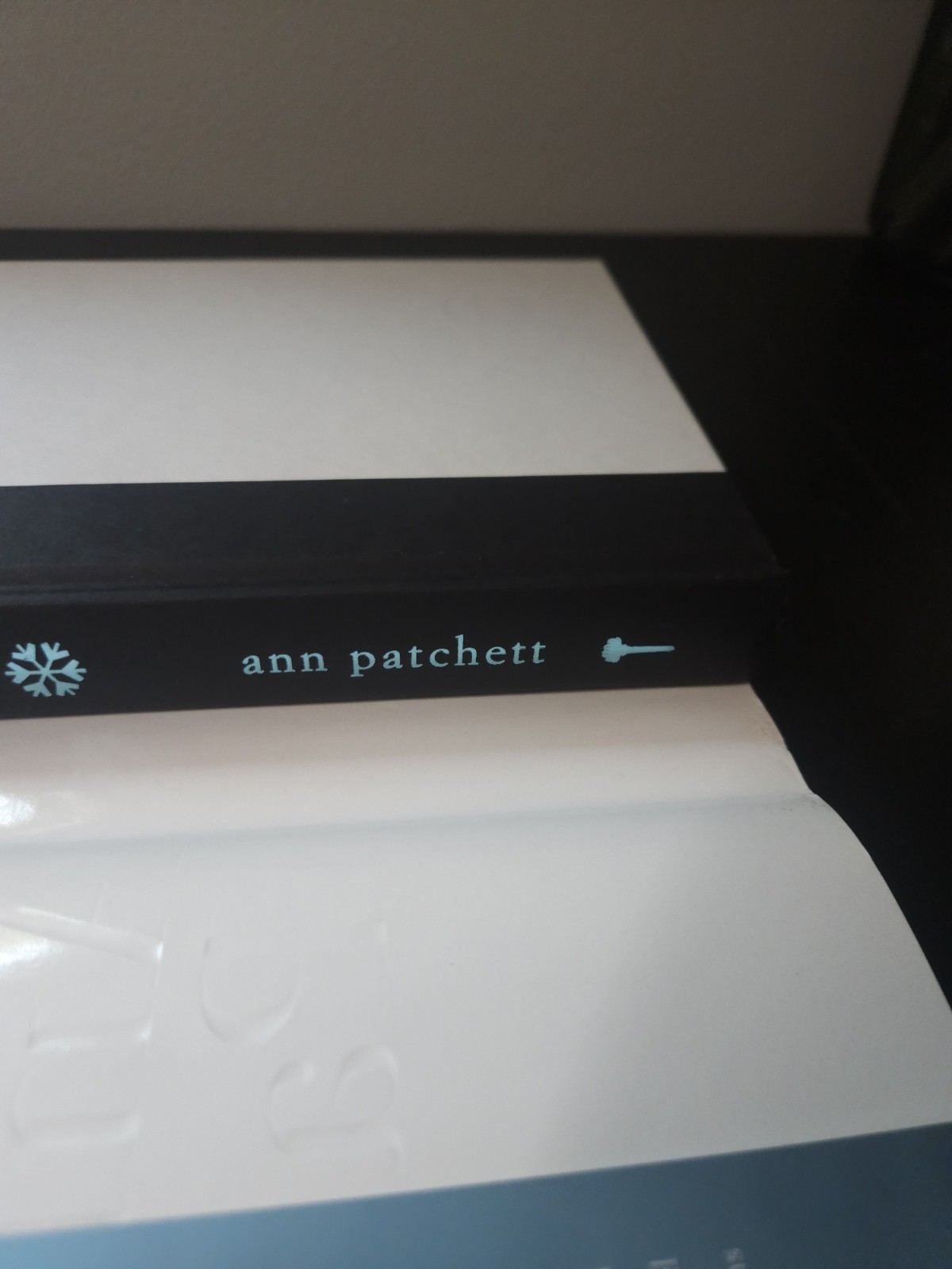 Run Ann Patchett First Edition First Printing 1st Hardcover Novel HC 2007