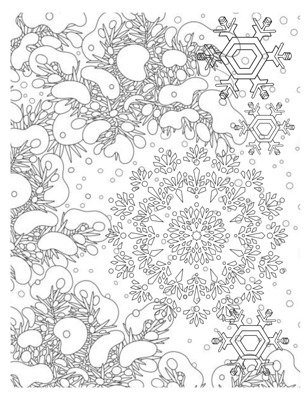SnowFlakes are Falling Coloring Book All Ages 108 Pages 8.5 x 11 for All Ages