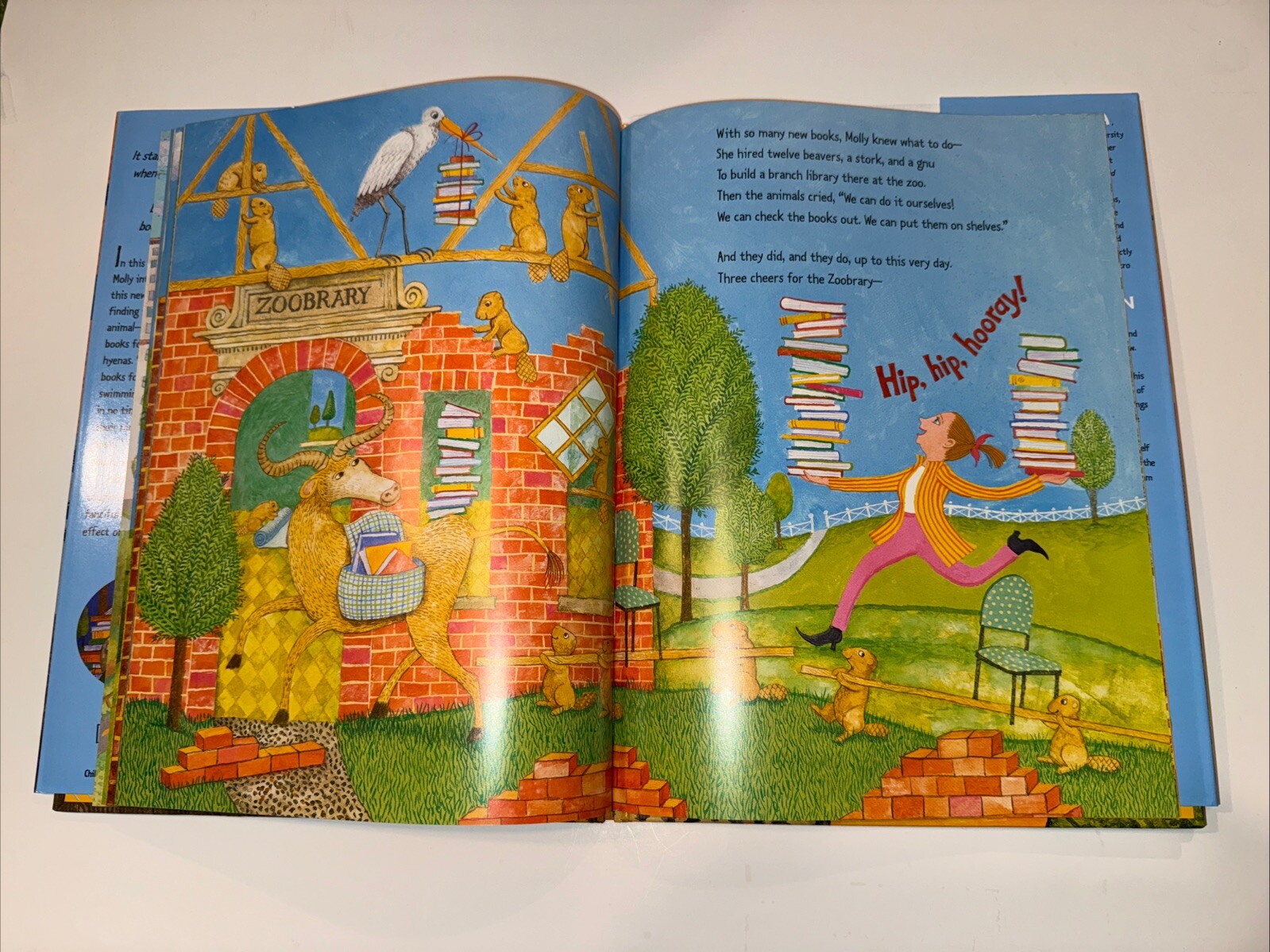 Wild About Books by Judy Sierra 2004 Hardcover w/ Dust Jacket E B White Award