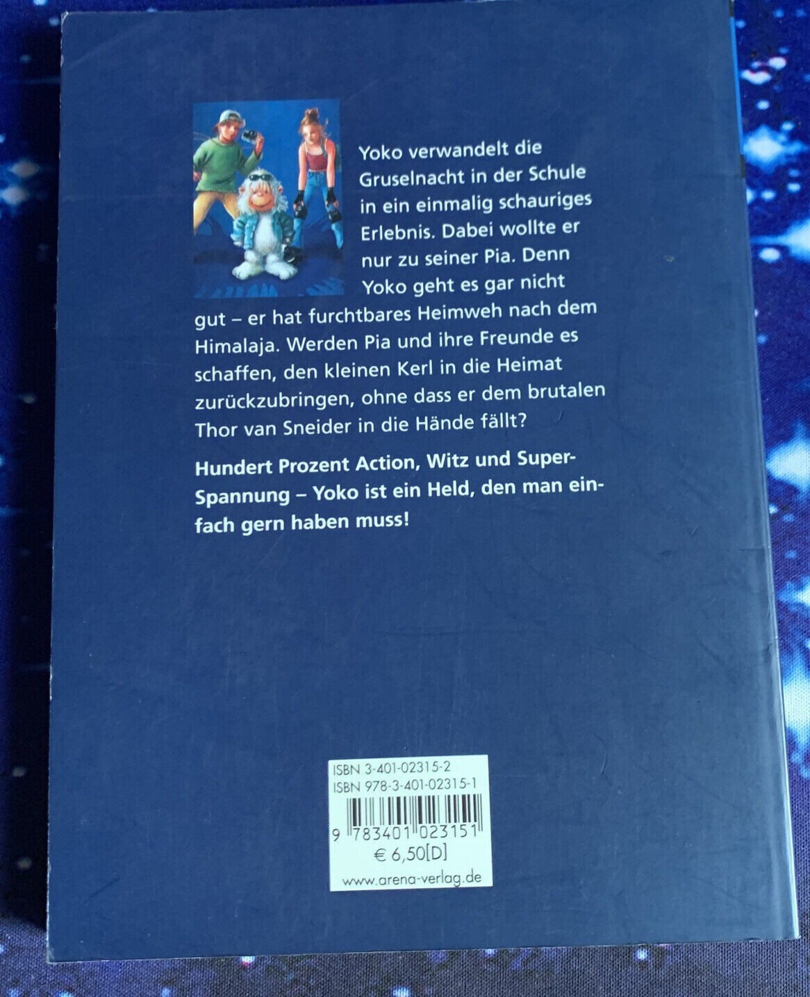 Yoko und die Gruselnacht im Klassenzimmer Band 3 Knister Buch Zustand sehr gut