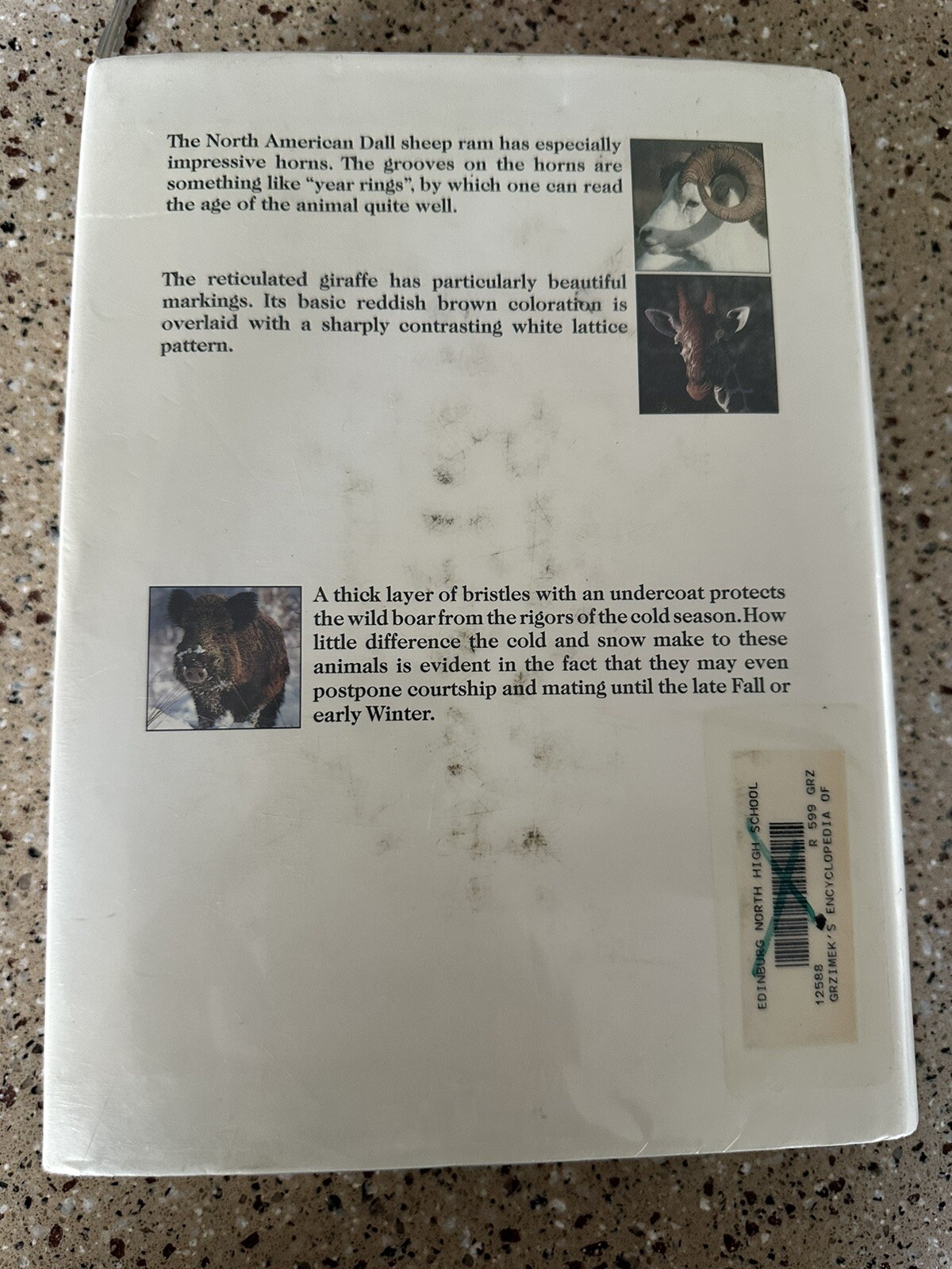 Grzimek’s Encyclopedia of Mammals (Volume 5) By Parker, Sybil P. 648 Pages Photo