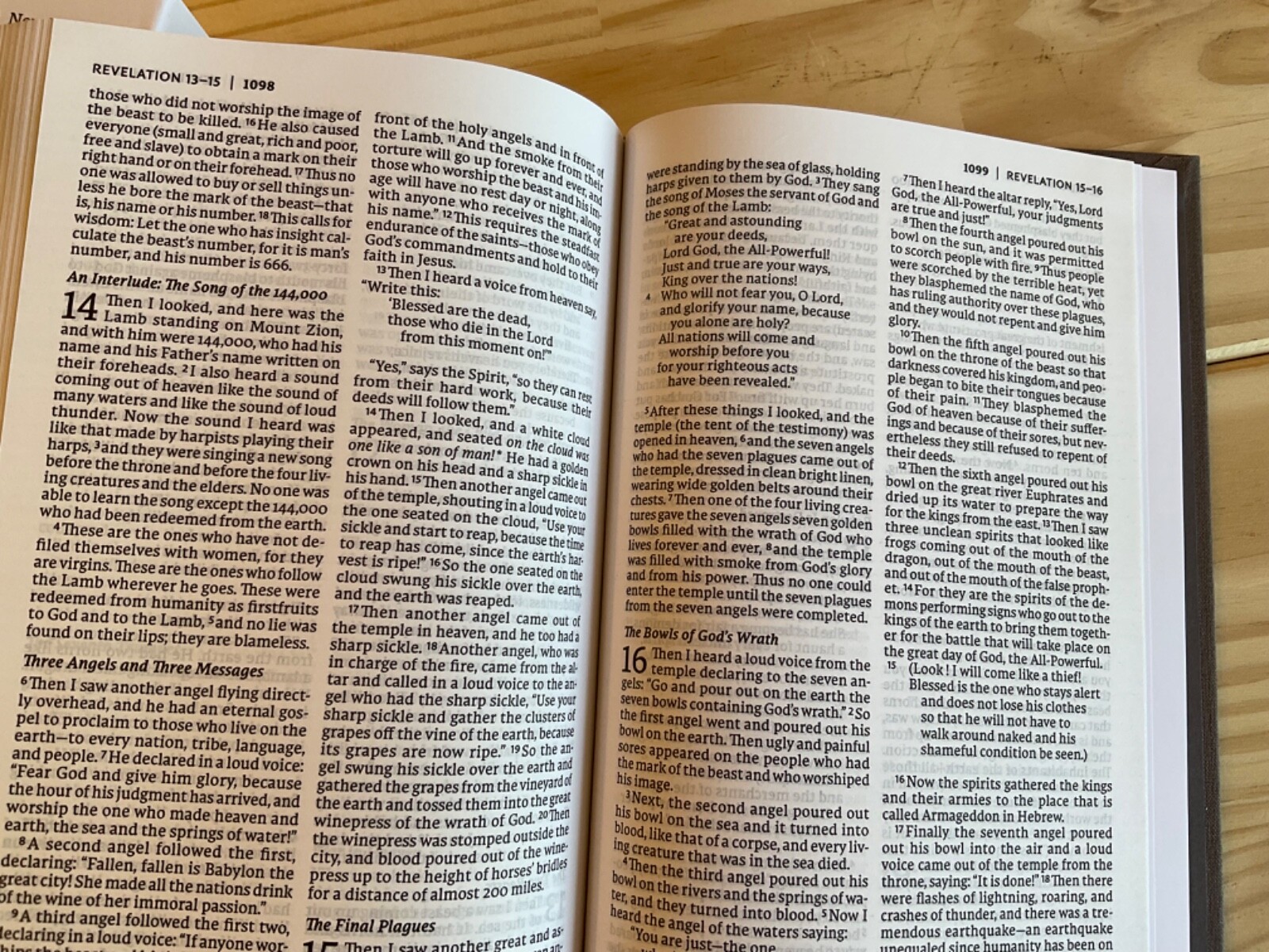 NET Thinline Bible 2019 Gray Hardcover