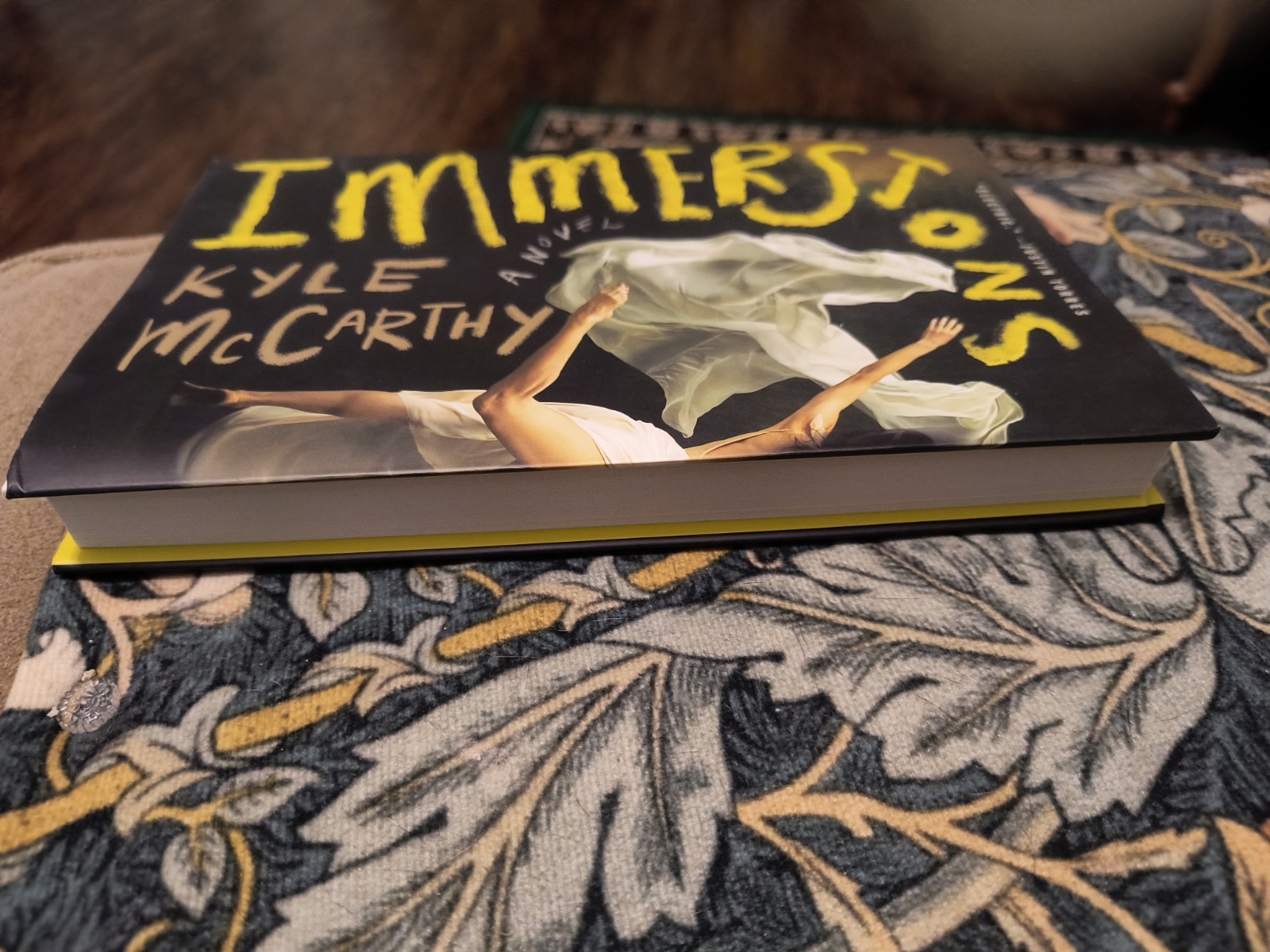 Immersions : A Novel by Kyle McCarthy May 2026 Release NEW Unread