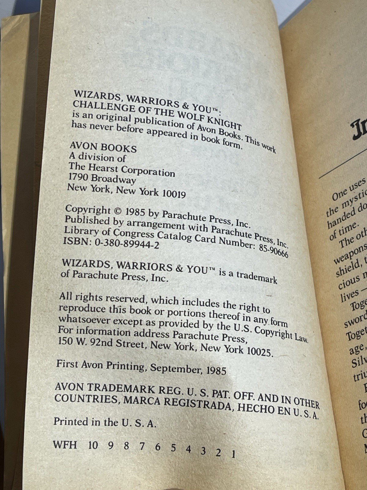 R. L. Stine Wizards, Warriors & You #7 Challenge of the Wolf Knight PB 1985