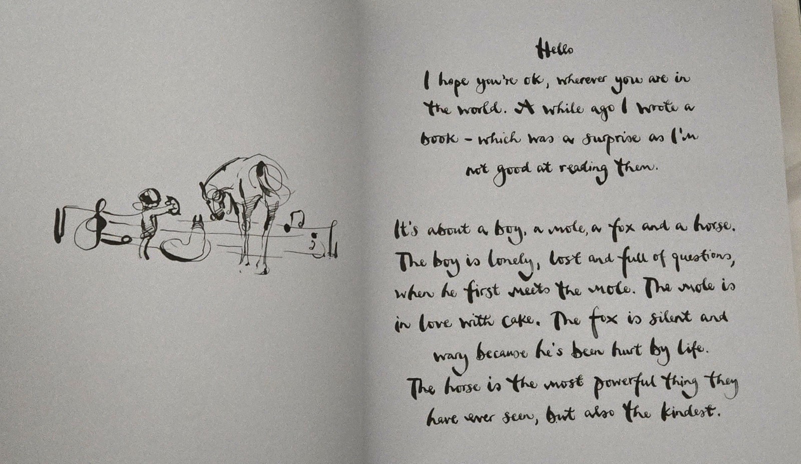 The Boy, the Mole, the Fox and the Horse by Charlie Mackesy