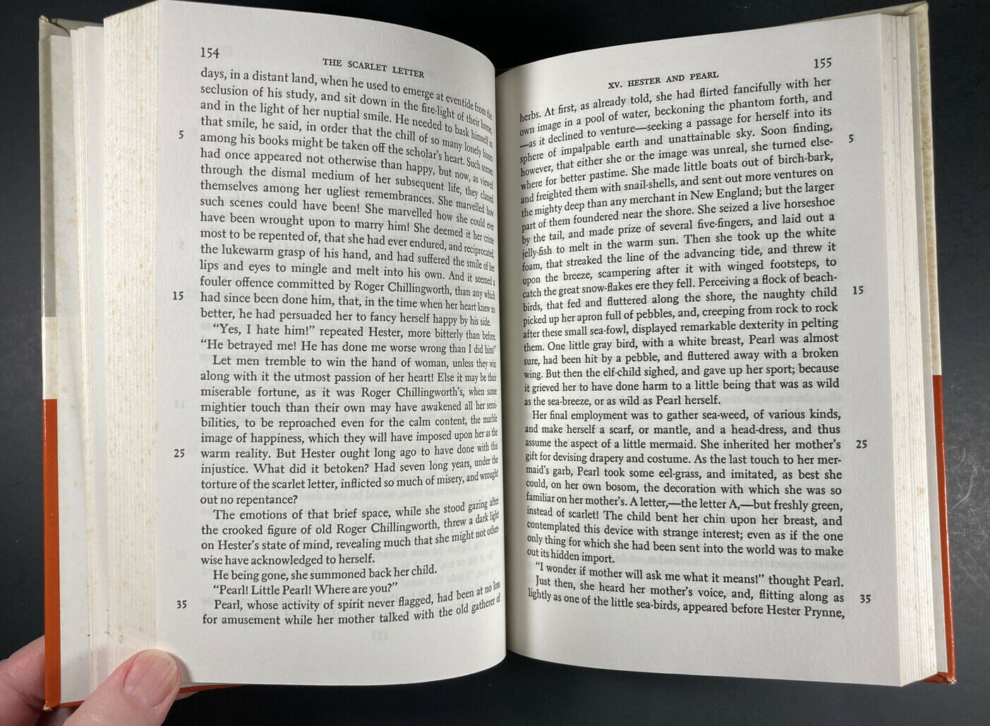 The Scarlet Letter by Nathaniel Hawthorne With Reader’s Guide, Amsco, 1970 HC