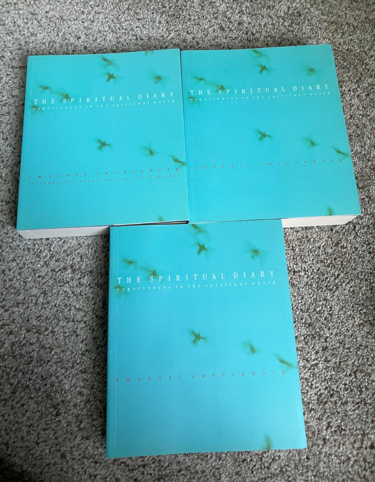 The Spiritual Diaries by Emanuel Swedenborg (Volumes 1-3) Paperback Set