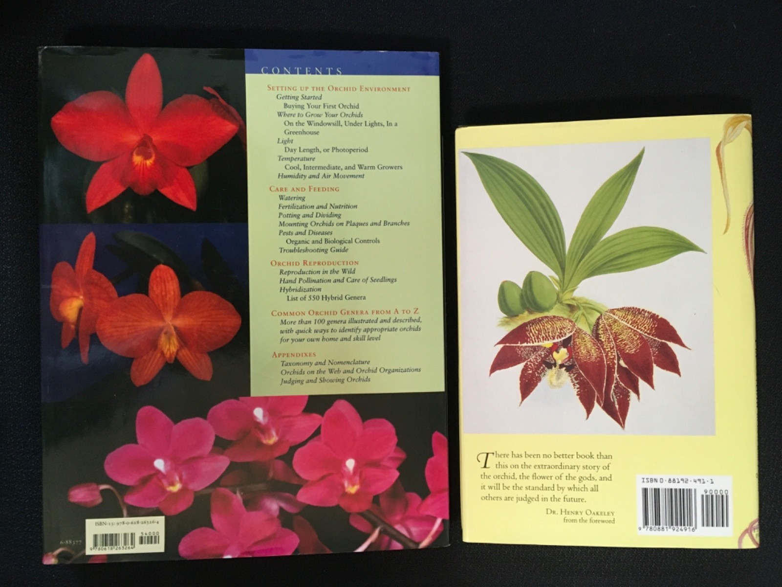Lot UNDERSTANDING ORCHIDS Guide to Growing Exotic Flowers Plants CULLINA + LORE